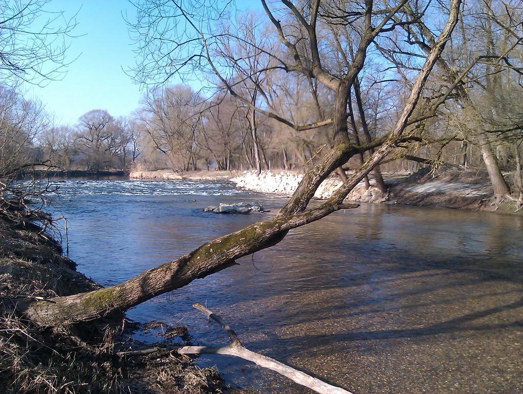 Pure Nature Munich - Amper Meadows/Freising Villa Haag an der Amper ภายนอก รูปภาพ