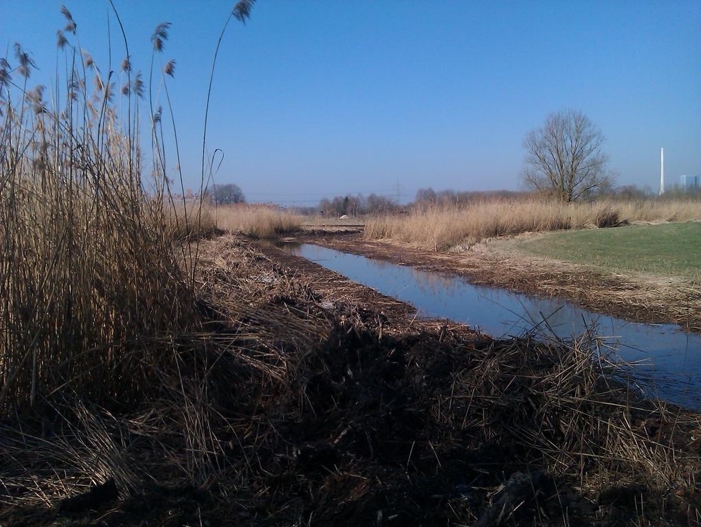 Pure Nature Munich - Amper Meadows/Freising Villa Haag an der Amper ภายนอก รูปภาพ