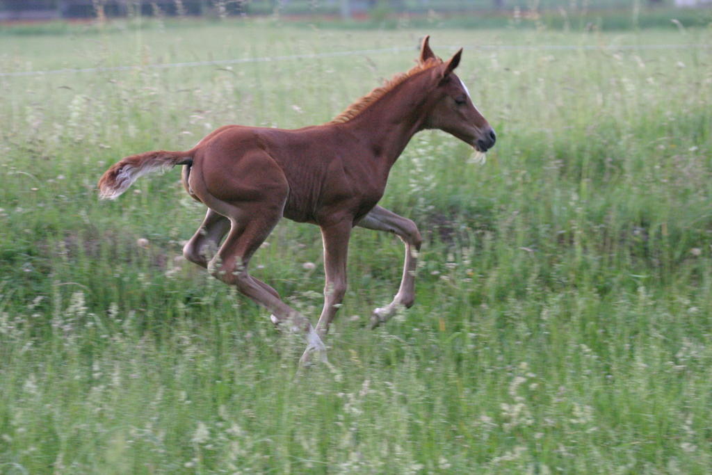 Pure Nature Munich - Amper Meadows/Freising Villa Haag an der Amper ภายนอก รูปภาพ