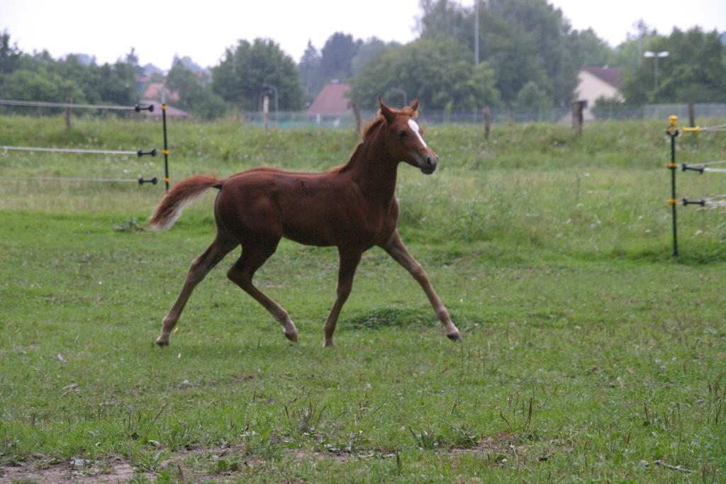 Pure Nature Munich - Amper Meadows/Freising Villa Haag an der Amper ภายนอก รูปภาพ